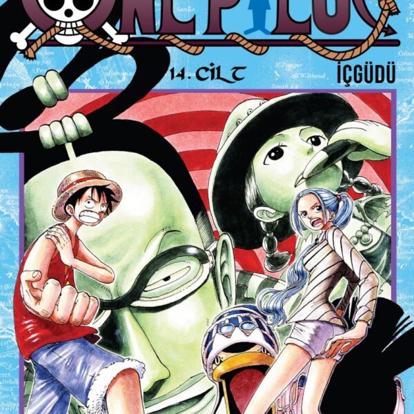 one piece 14