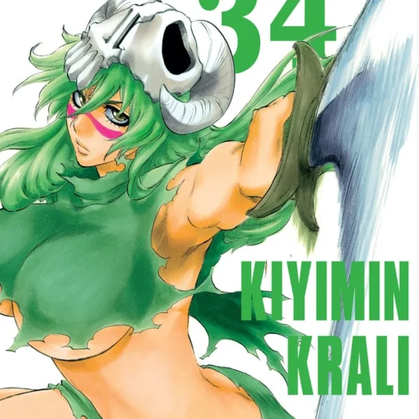 Bleach 34.Cilt